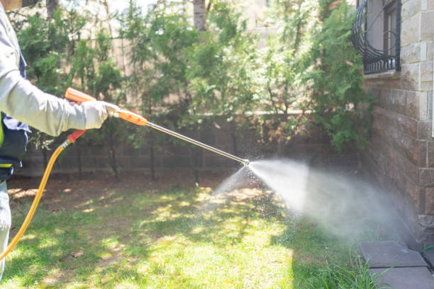 Best Flea Control Services  in Maple Heights Lake Desire, WA